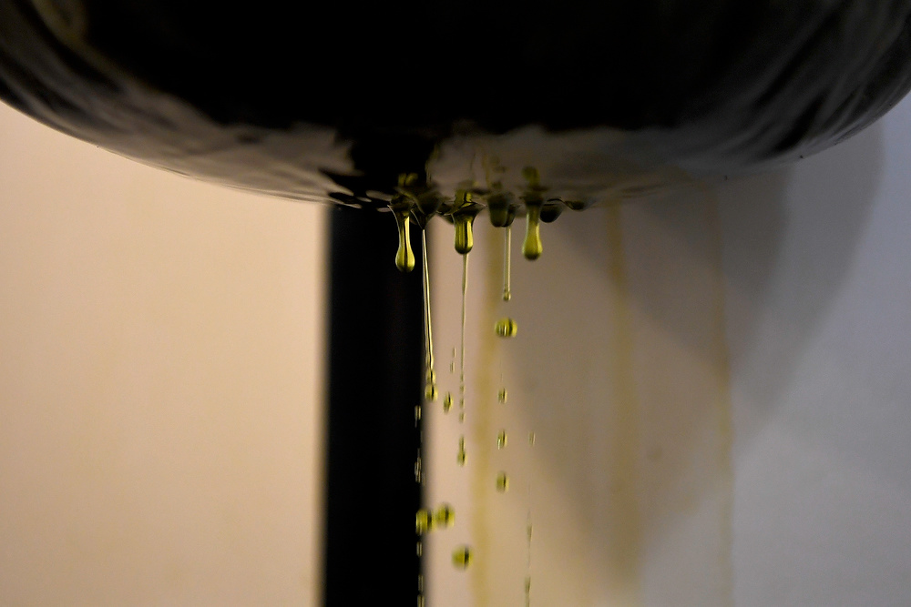 Solvent drips from a sack of hemp during the early stages of extraction of cannabinoids (CBD) at a CW Hemp facility in Boulder, Colorado. CBD is touted for its medical promise but faces an uncertain future that may be decided in the federal courts. (Photo by AAron Ontiveroz/The Denver Post)