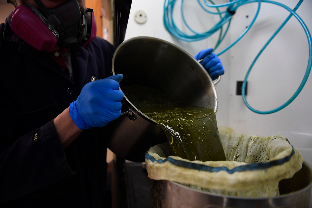 Extraction technician Jacob Ostler filters out hemp plant material from 99% isopropyl alcohol for extraction at CW Hemp. March 10, 2017, Boulder, Colorado. (Photo by Joe Amon/The Denver Post)