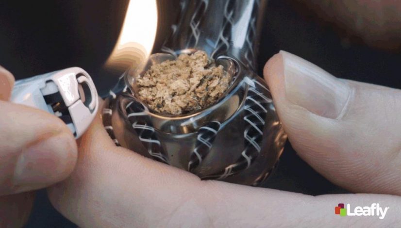 how-to-corner-your-bowl-of-cannabis_1