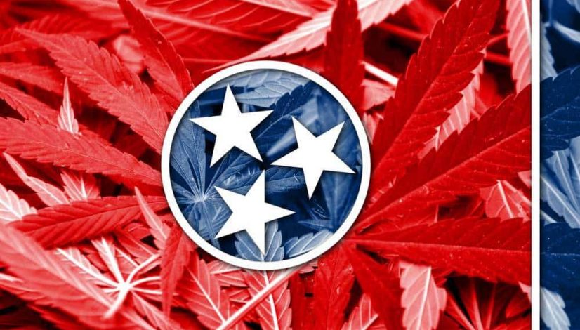 tennessee-democrats-come-out-in-support-of-medical-marijuana_1