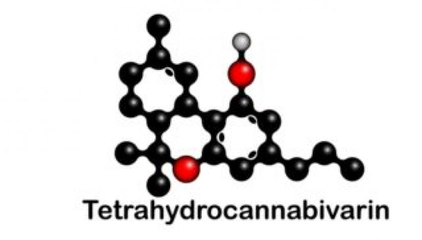 what-is-thcv-tetrahydrocannabivarin-and-what-does-it-do_1