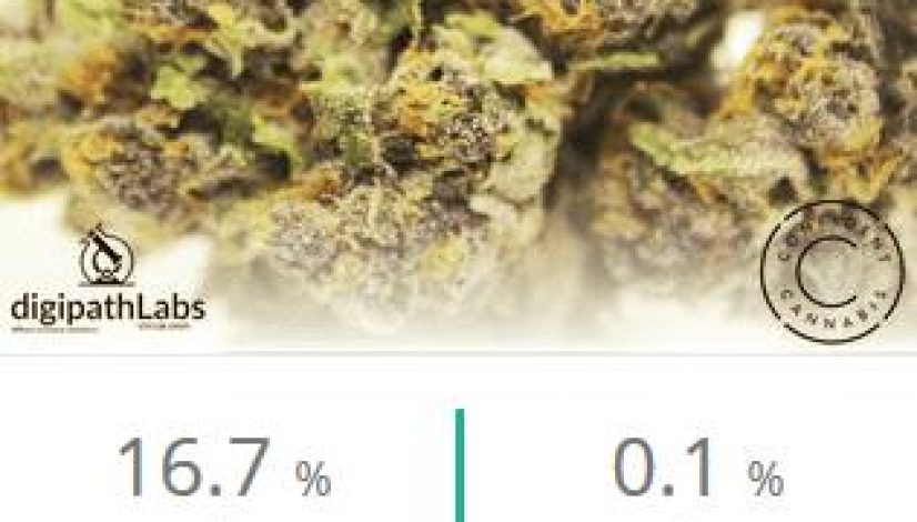 420-marijuana-reviews-ninja-fruit_1