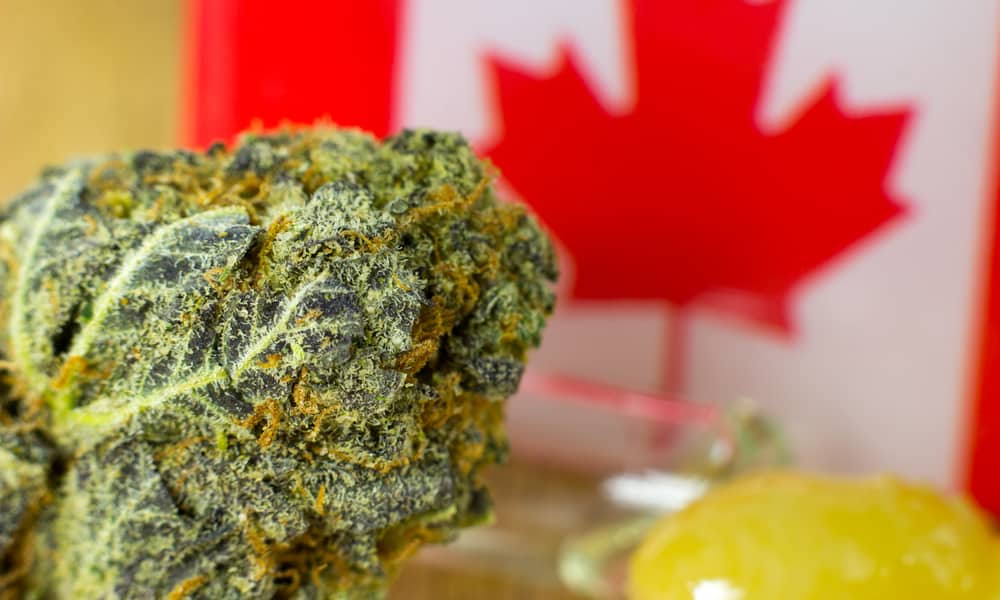 How Much Does An Ounce of Weed Cost Around The World?
