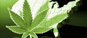 Marijuana Legalization, Why should marijuana be legalized