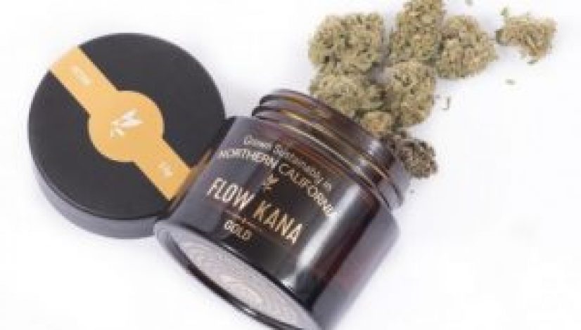 a-look-inside-the-cannabis-swag-from-this-years-oscars_1
