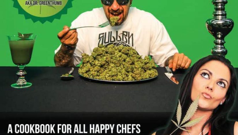 the-happy-chef-thc-dr-greenthumb_1