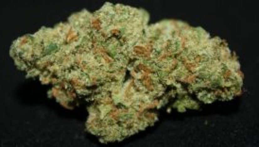 the-best-strains-to-help-with-adhd_1