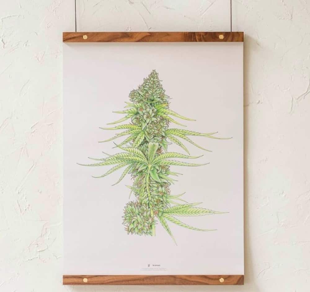 The High Times Father’s Day Gift Guide