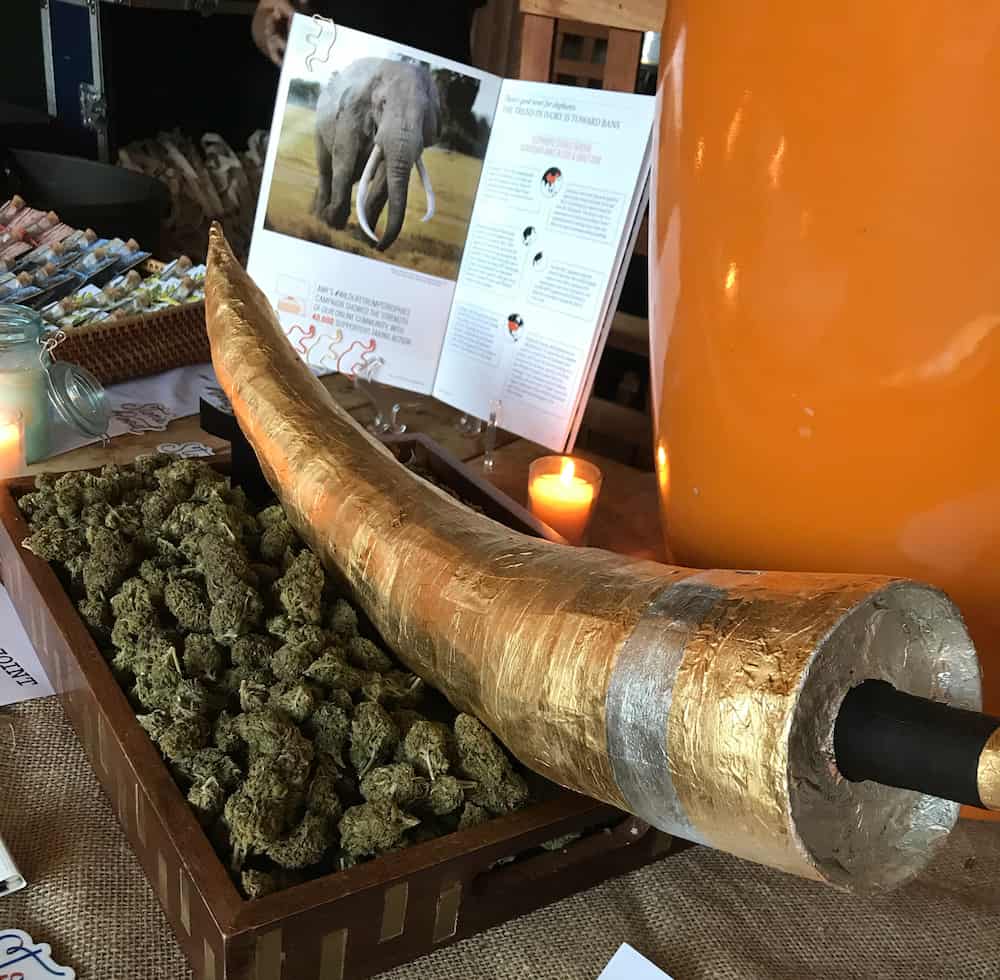 $4k ‘Elephant Tusk’ Joint Sold at Auction