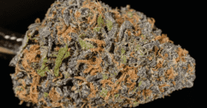 Grandaddy Purple, Cannabis Strains, national marijuana news