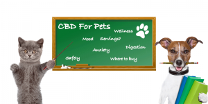 Medical Marijuana For Your Pets