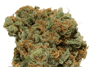 The 10 Best Weed Strains For Partying
