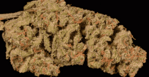 The 10 Best Weed Strains For Partying