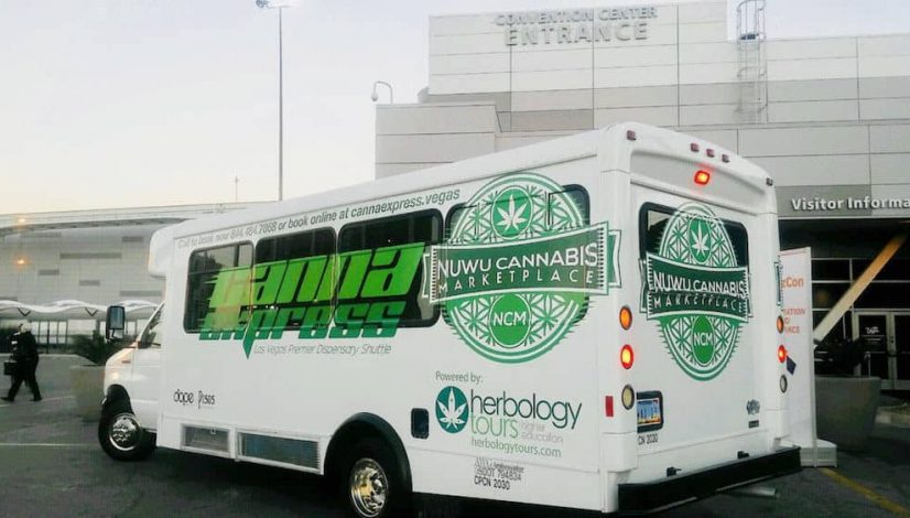 the-weird-and-wonderful-world-of-las-vegas-weed-culture_1