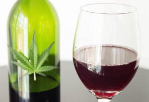 cooking with weed, cannabis infused wine, marijuana news, tnmnews