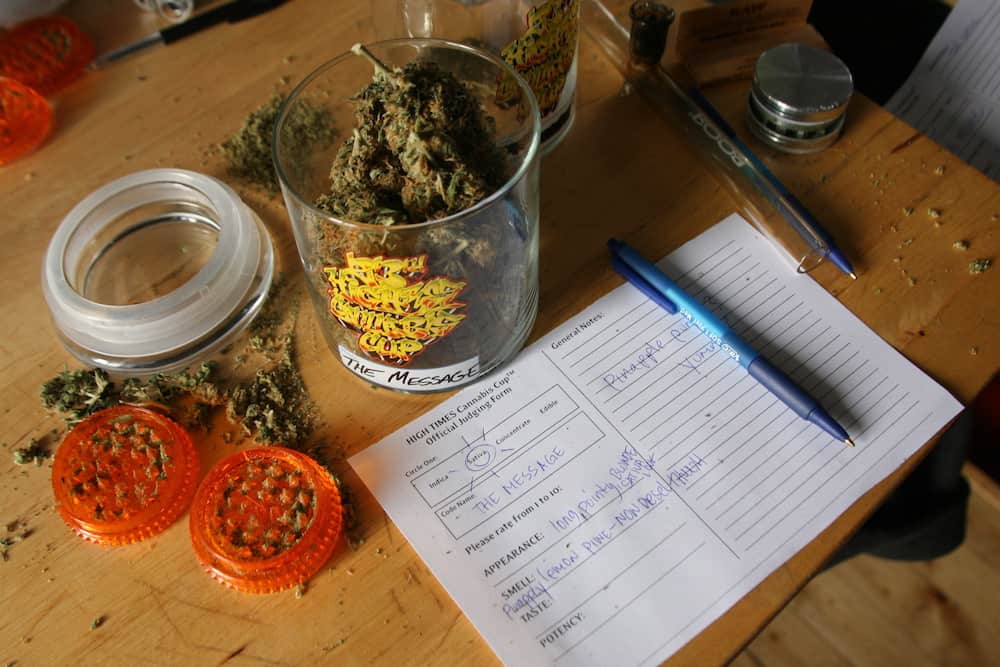 Welcome to Amsterdam, Birthplace of the Cannabis Cup
