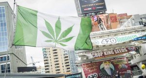 Ontario weed, when will marijuana be legal everywhere, cannabis news, Canada marijuana
