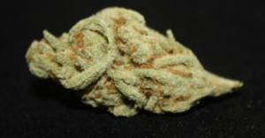 Tangerine Man, Weed Strains For Productivity, marijuana news, cannabis legalization