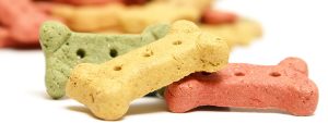 Cannabis-Infused Dog Food, Corey Nutrition, CBD products, cannabis news