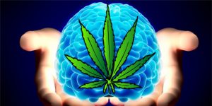 Does Cannabis Help Fight Depression? cannabis and depression Does Cannabis Help Fight Depression? legal weed news marijuana and depression marijuana legalization Marijuana News medical marijuana programs weed and depression weed news