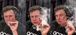 Elon Musk Smokes Weed With Joe Rogan