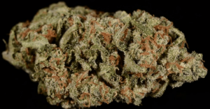 The Best Cannabis Strains For Fall, jack flash, jack flash weed