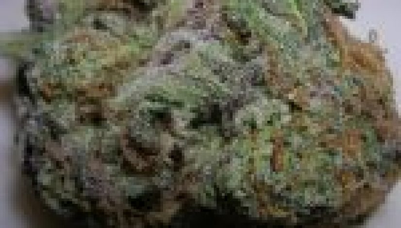 the-best-cannabis-strains-for-headaches_1