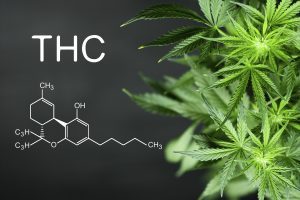 Tips For Detoxing From THC, cannabis detox, weed news, NBA drug tests, NFL drug tests