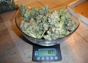What Is Still Illegal Post Cannabis Legalization? 30 grams marijuana, marijuana news, trending marijuana news