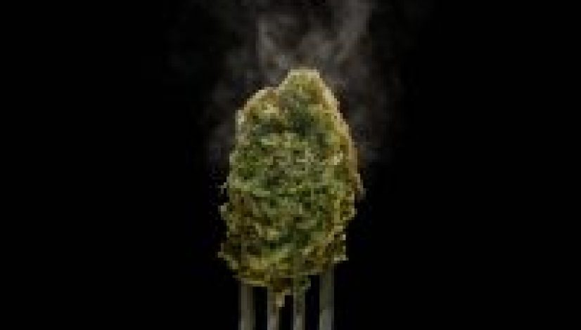 the-growing-popularity-cannabis-cooking-shows_1