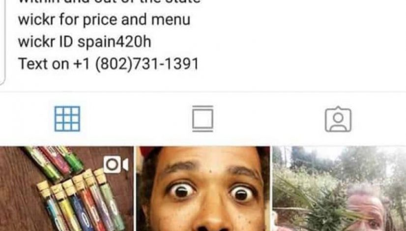 weed-scams-are-trending-on-instagram-and-people-are-falling-for-them_1
