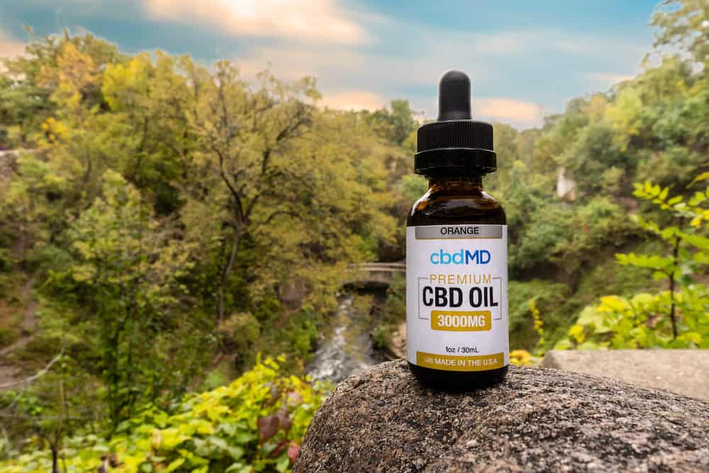 Our Favorite CBD Products of 2018