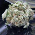 The Best Cannabis Strains For Winter Weather, tahoe weed, tahoe cannabis, tahoe pot, tahoe marijuana