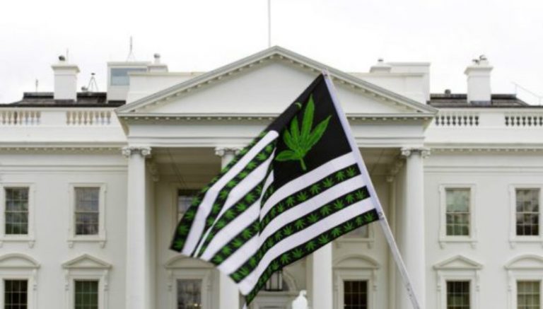 White House comments pointing to marijuana crackdown light up social media