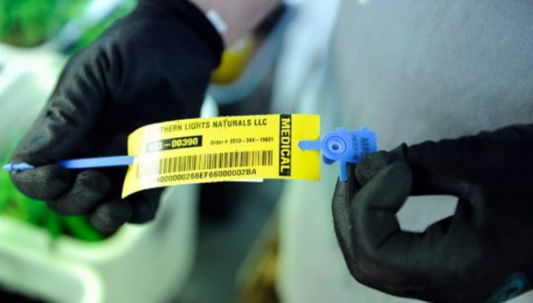 Humboldt County’s cannabis track-and-trace system may become model for California regulators