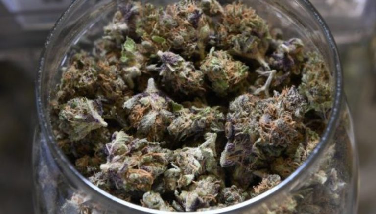 Pediatricians warn against teen marijuana use, including medical cannabis, in new report