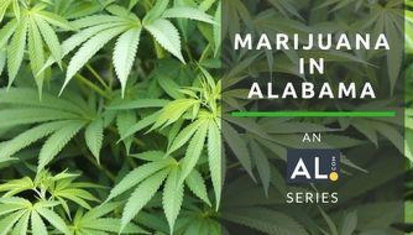 legal-marijuana-will-alabama-be-last_1