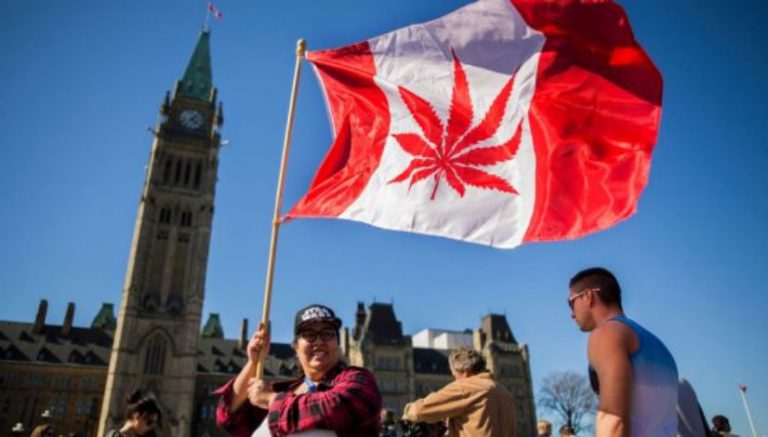 Canada’s marijuana czar pours cold water on hype of imminent legalization