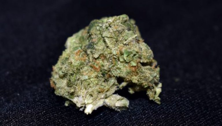 Cherry Diesel (marijuana review)