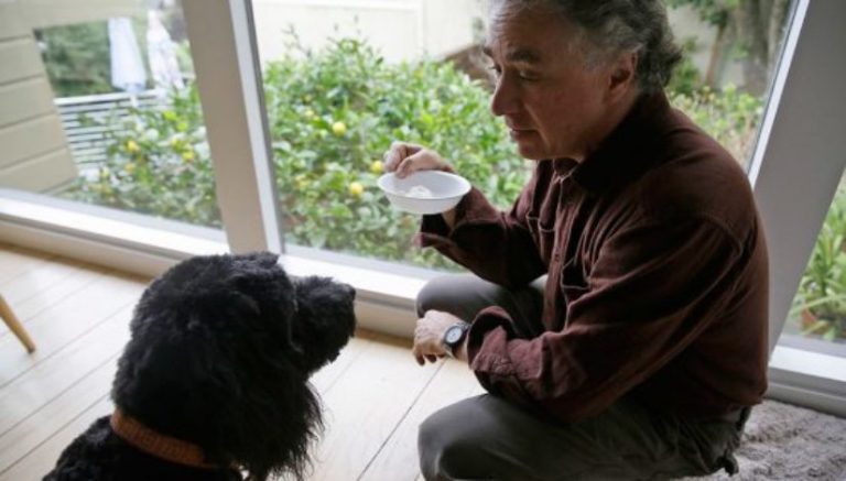 Weed for every breed: Pet owners look to cannabis products to heal their furry friends