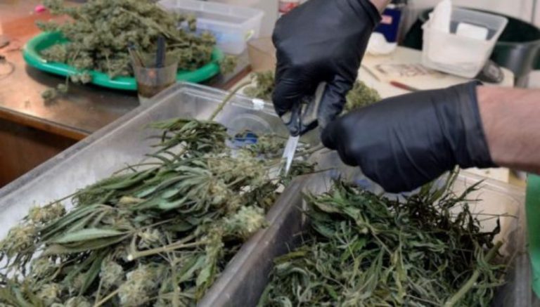 Medical marijuana for PTSD legislation heads to Colorado House for debate