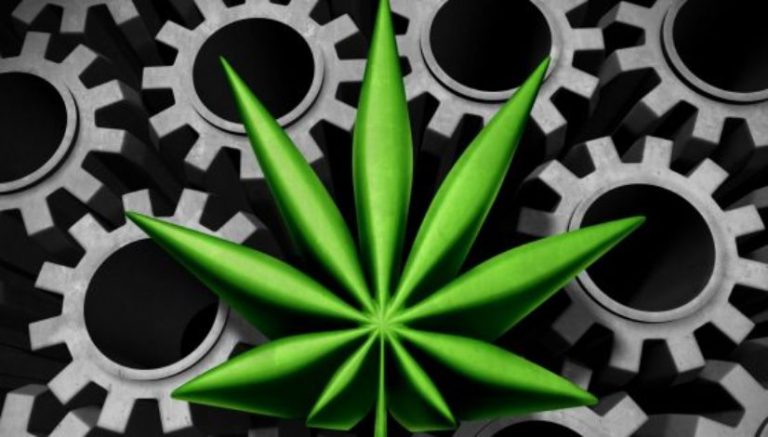 Op-ed: America’s past holds clues for solving current issues with marijuana industry