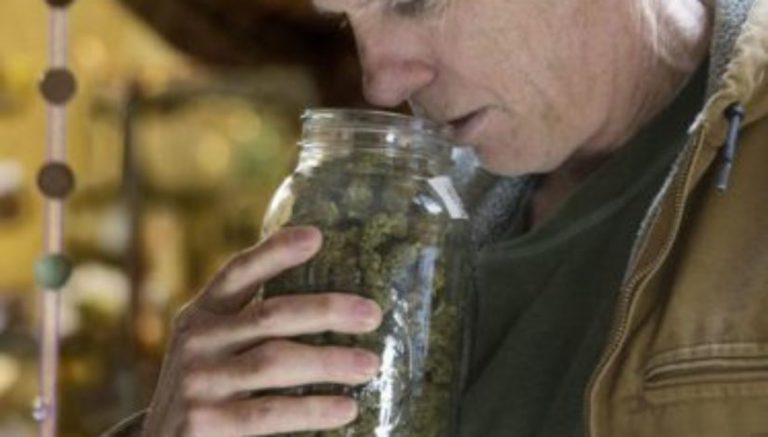 A veteran cannabis farmer mourns the passing of a more paranoid, more profitable way of life