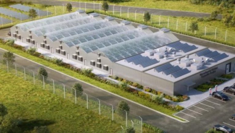 Massachusetts cannabis industry warns of “Colorado money” and “Pabst Blue Ribbon” weed