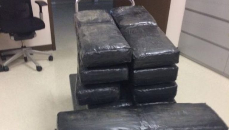 More smuggled weed found with new cars shipped from Mexico