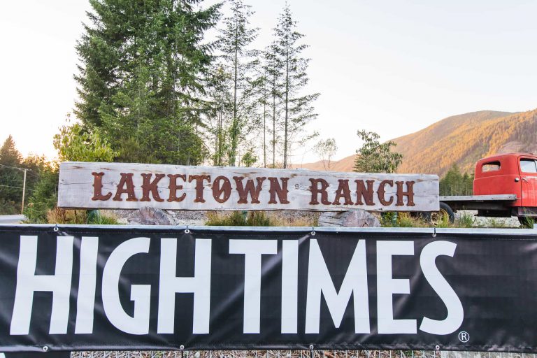 2017 HIGH TIMES Cannabis Cup Canada: Day 2 Recap