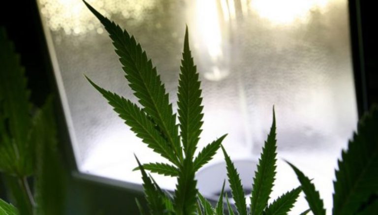 Issues emerging with Oakland’s new marijuana equity biz program for those impacted by Drug War