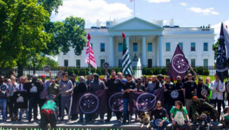 VA roadblock hinders study on cannabis as PTSD treatment for veterans, researcher says