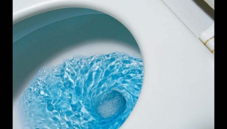 Pro tip: When flushing weed to dodge cops, don’t include container