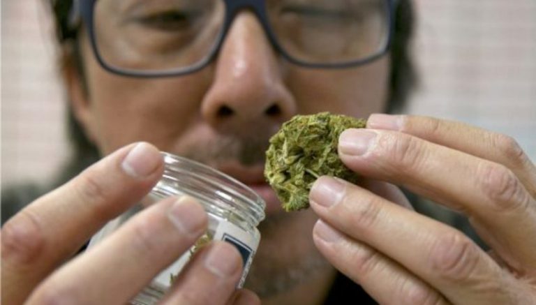 How one Cali county is working with industry to find a balance on weed regs